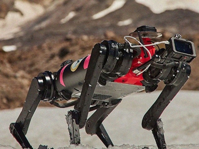 Advancing Lunar Exploration: Training a Robot Dog for Moonwalking.